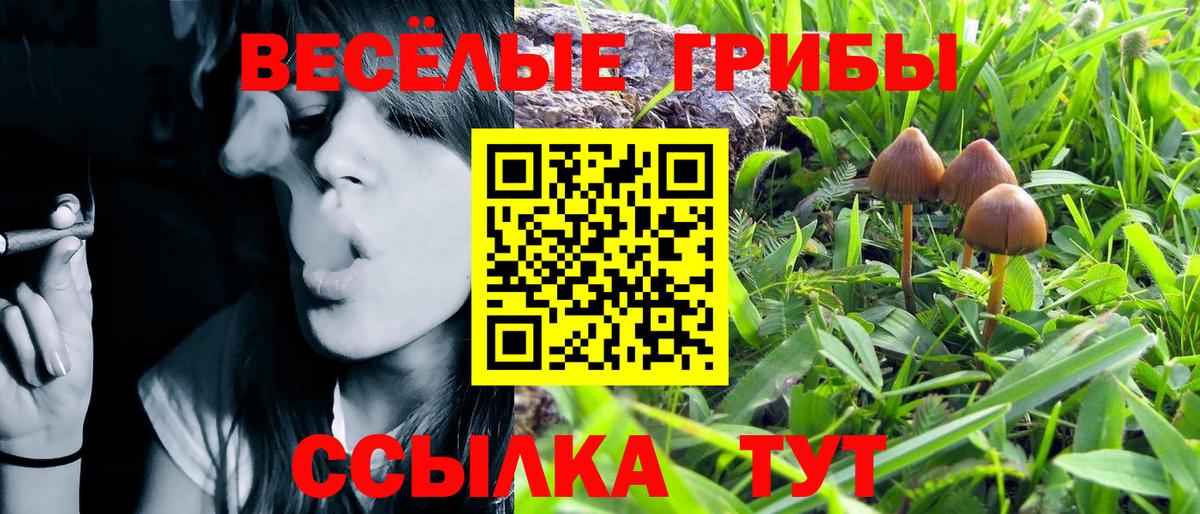 Псилоцибиновые грибы мицелий Вичуга