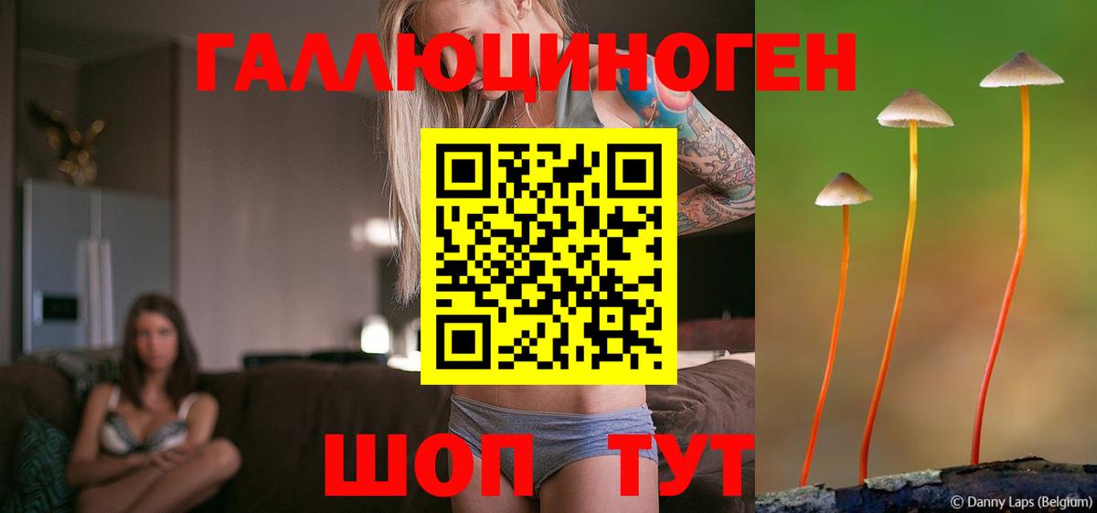 Псилоцибиновые грибы Psilocybe  цены   Вход с VPN  Вичуга  Галлюциногенные грибы Psilocybine cubensis 