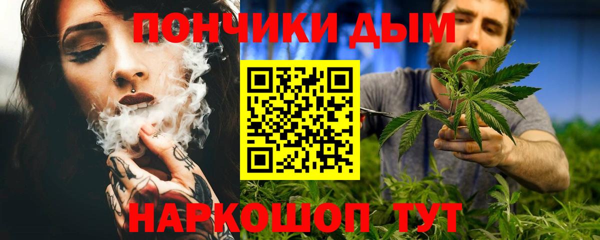 Бошки Шишки конопля Вичуга